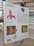  Grand guide encyclopédique des Champignons 