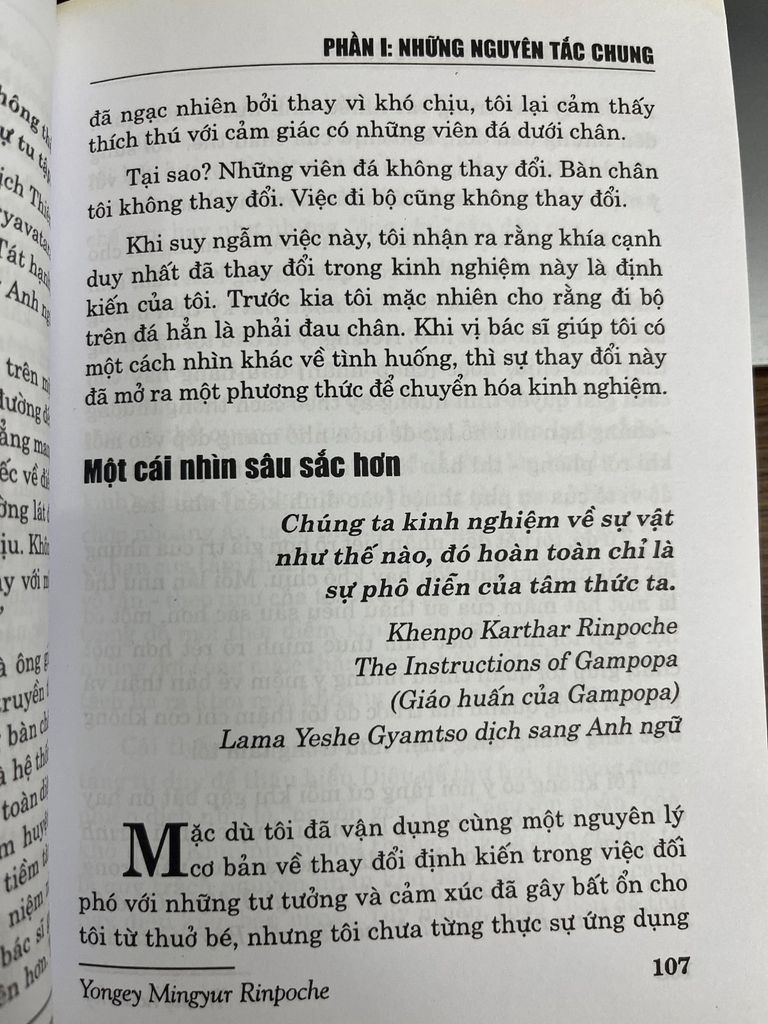  Trí Tuệ Hoan Hỷ - Yongey Mingyur Rinpoche 