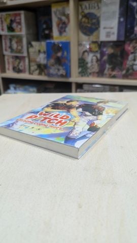  Wild Pitch Sân Bóng Cuồng Nhiệt 