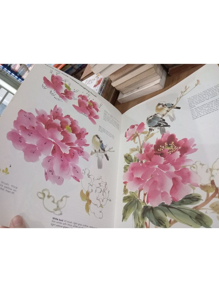  Watercolor On Rice Paper - Lucy Wang 