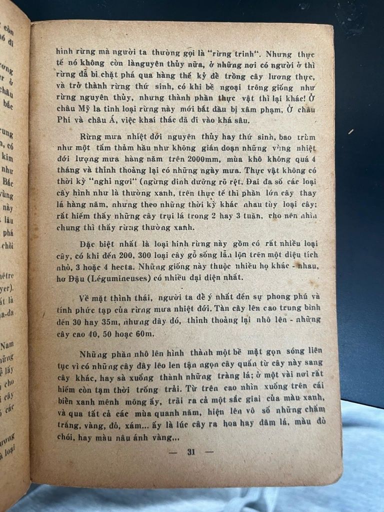 Rừng và Đời Sống - Lê Quang Đản 