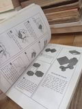  Origami for everyone Nghệ thuật xếp giấy toàn tập - Steve, Megumi Biddle 