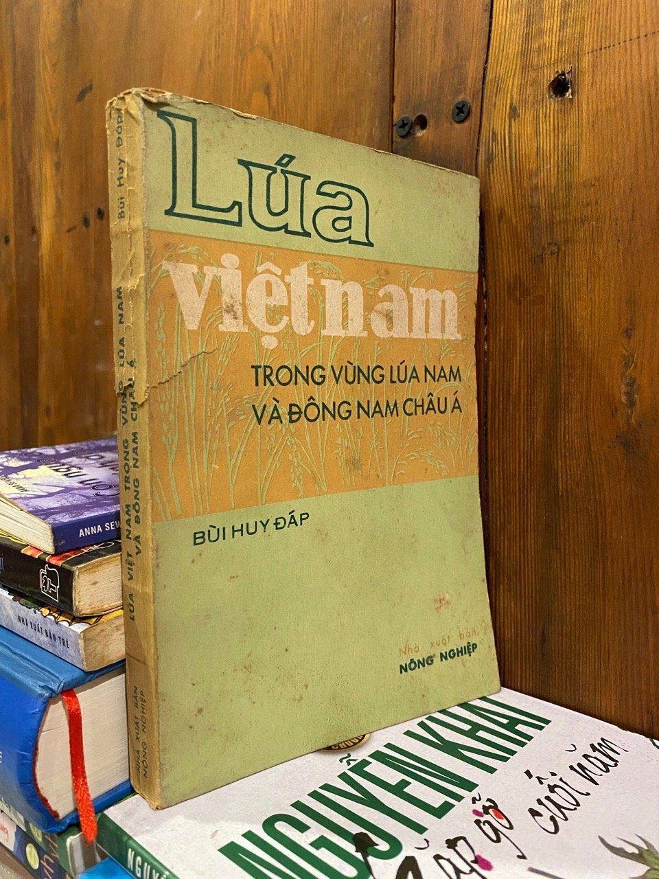  Lúa Việt Nam trong vùng lúa nam và đông nam châu Á - Bùi Huy Đáp 