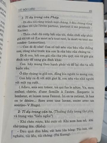 Những Sự Gặp Gỡ của Đông Phương & Tây Phương trong Ngôn Ngữ & Văn Chương - Vũ Bội Liêu
