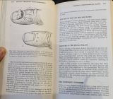  Emergency Medicine a Comprehensive Study Guide 