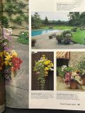  Sunset Garden Color 
