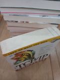  TCP/IP Complete - Ed Taylor 