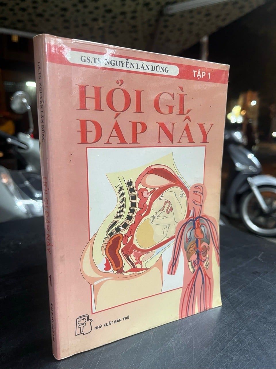  Hỏi gì đáp nấy - GS,TS. Nguyễn Lân Dũng 