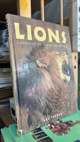  Lions a portrait of the animal world - Lee Server 