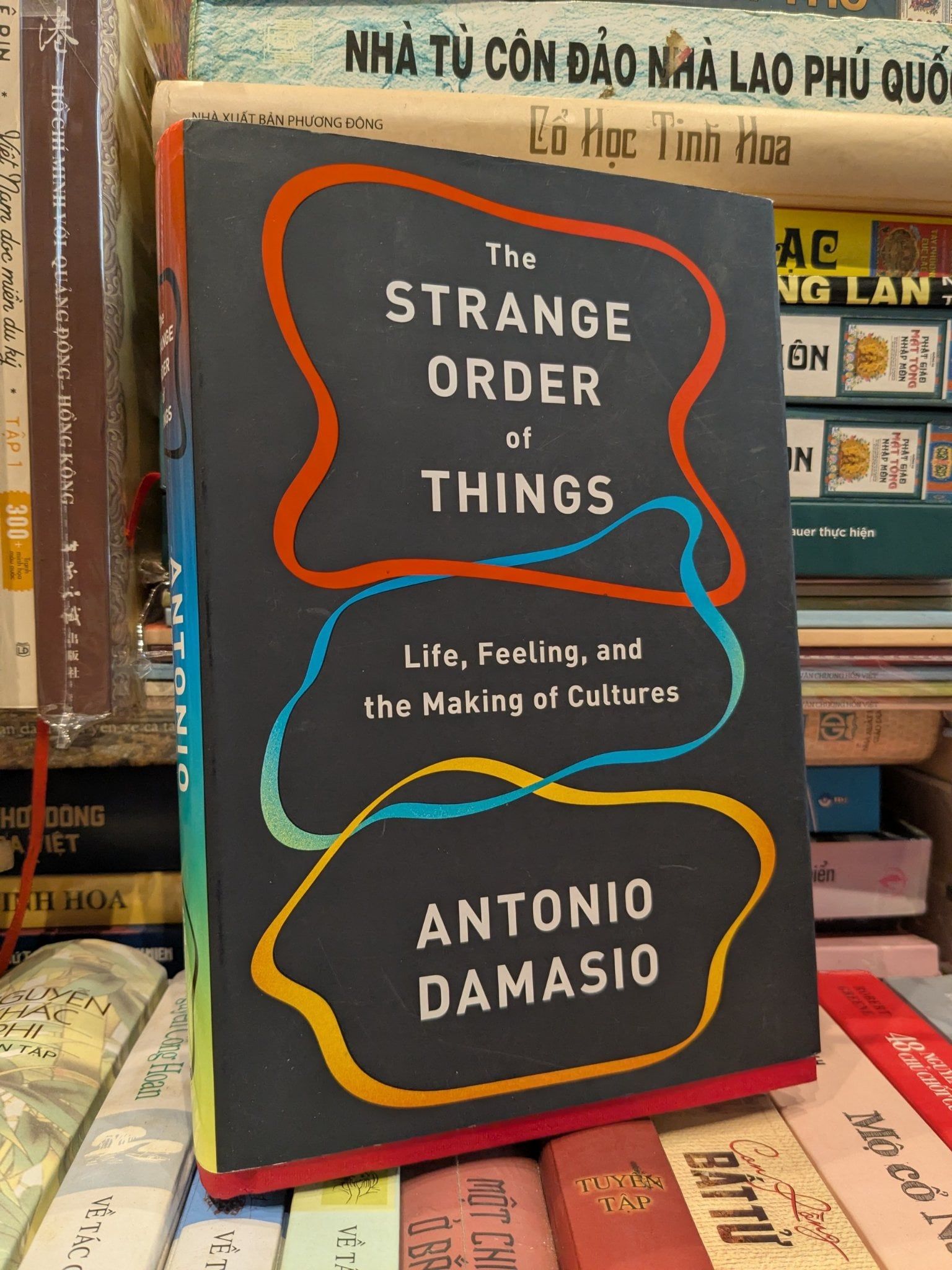  The Strange Order Of Things - Antonio Damasio 