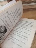  Mr. Docker is off his rocker - Dan Gutman 