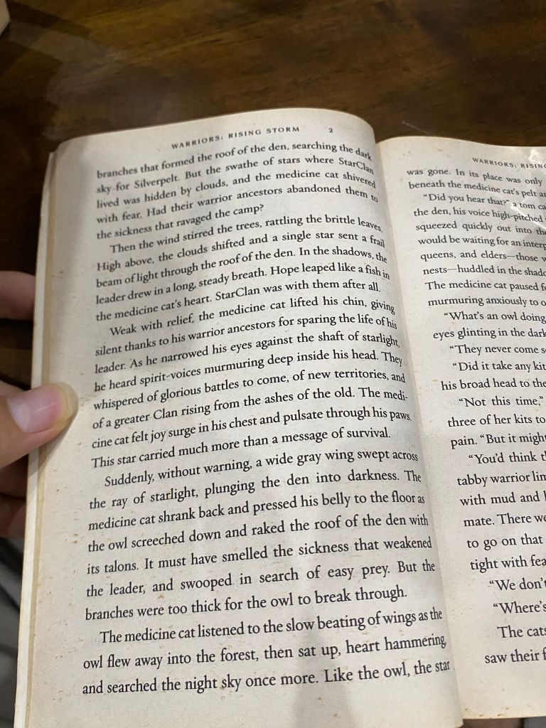  Warriors: Rising Storm - Erin Hunter 