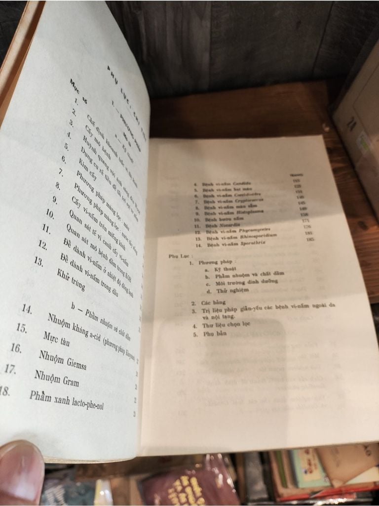  Vi Nấm Học Y Khoa Thực Dụng - Glenn S. Bulmer, Đỗ Thị Nhuận 