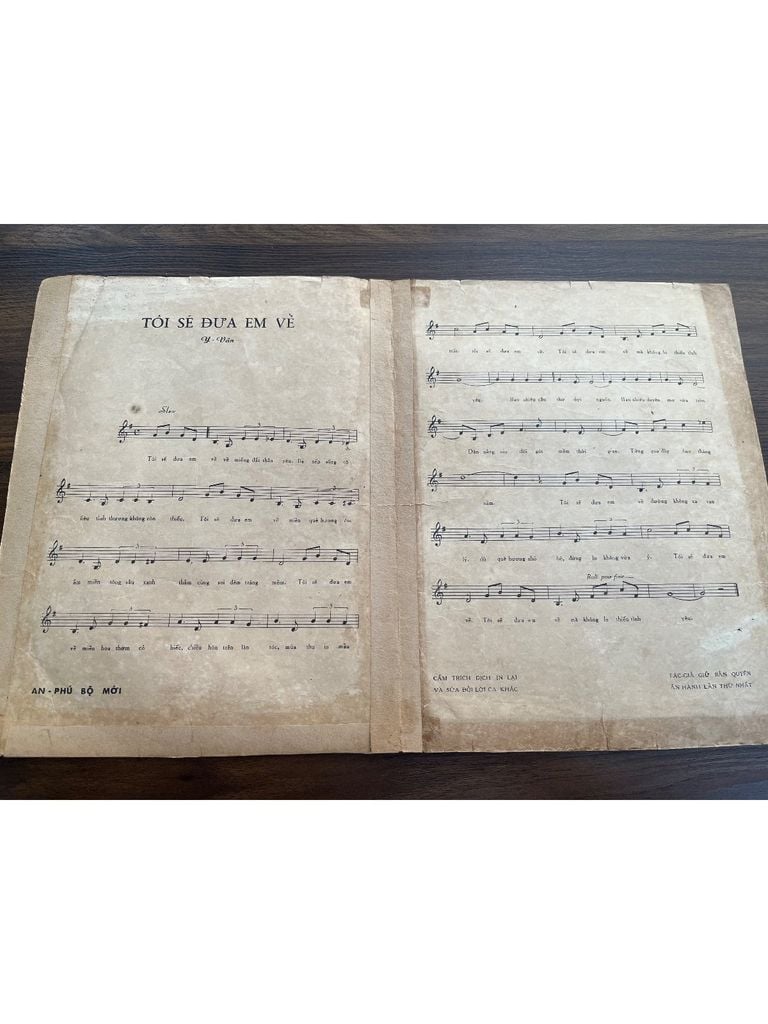  Tôi Sẽ Đưa Em Về - Y Vân 