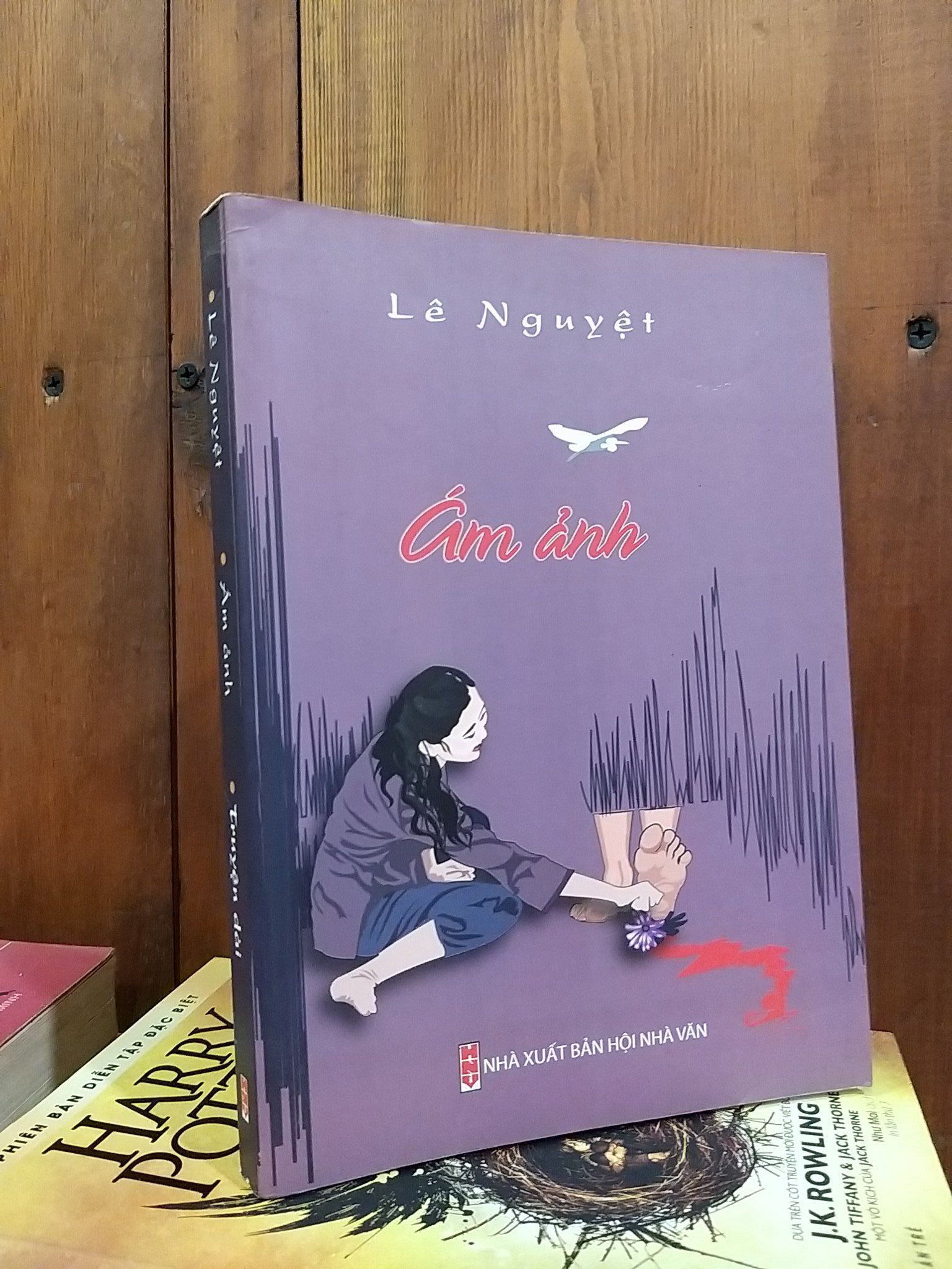  Ám ảnh - Lê Nguyệt 