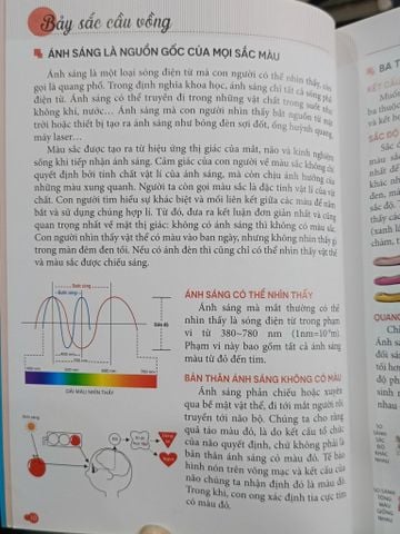 Lấy Màu Sắc Điểm Tô Cuộc Đời: Nghệ Thuật Phối Màu cho Cuộc Sống Rực Rỡ - Sula (Thanh Hà Dịch)