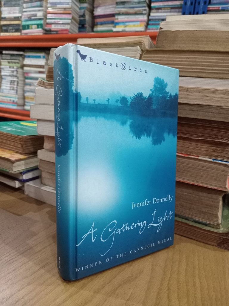  A Gathering Light - Jennifer Donnelly 
