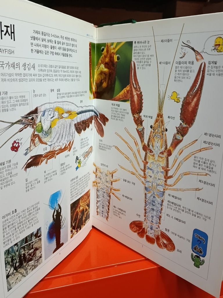  Sách Tiếng Hàn 27 
