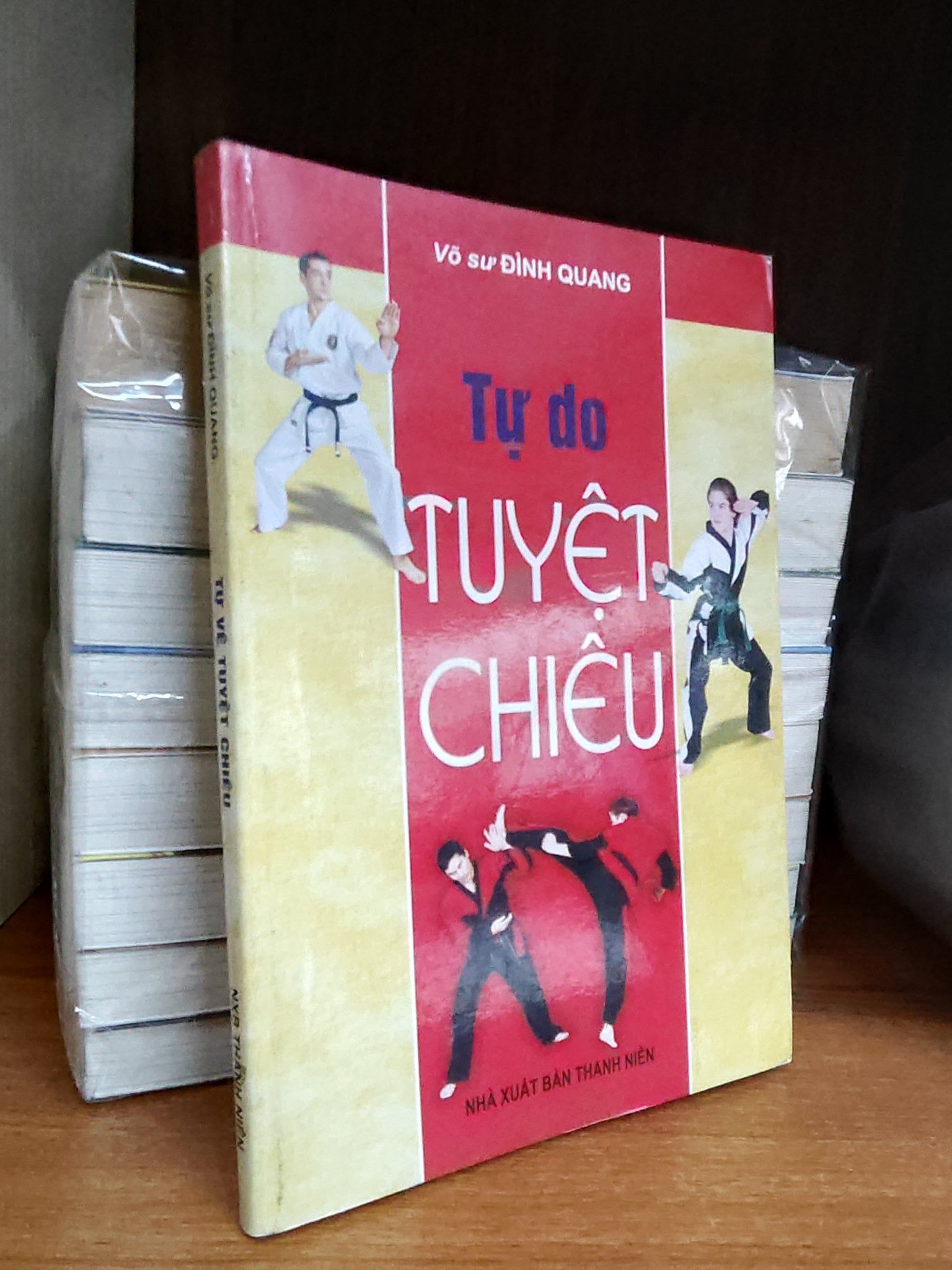  Tự do tuyệt chiêu - Võ sư Đình Quang 
