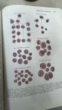  Textbook of Medical Physiology - Guyton 