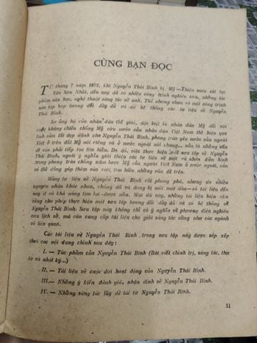  Sưu Tập Nguyễn Thái Bình 
