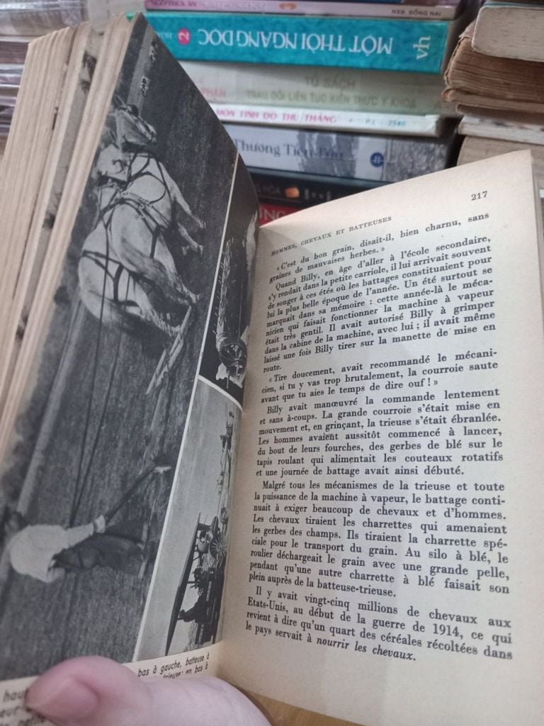  Les Fruits de la Terre - Winifred G. Hammond 