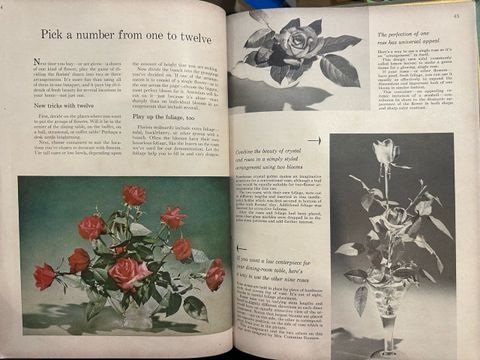  Better Homes & Gardens: Flower Arranging 