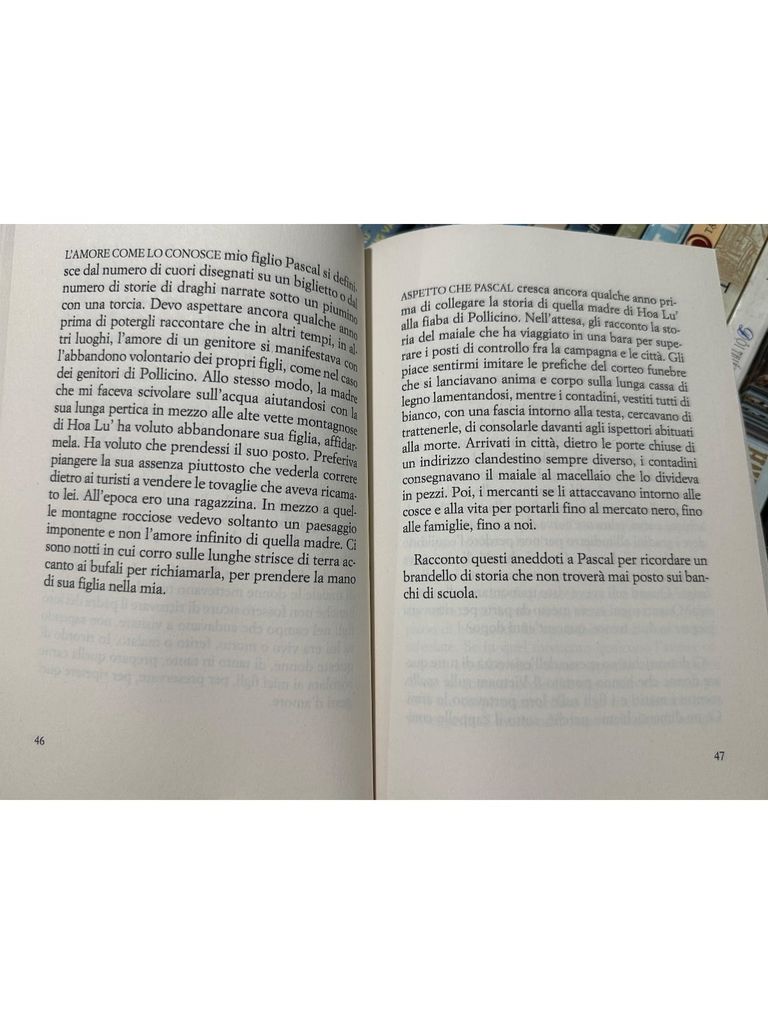  Riva - Kim Thúy ( French Books ) 