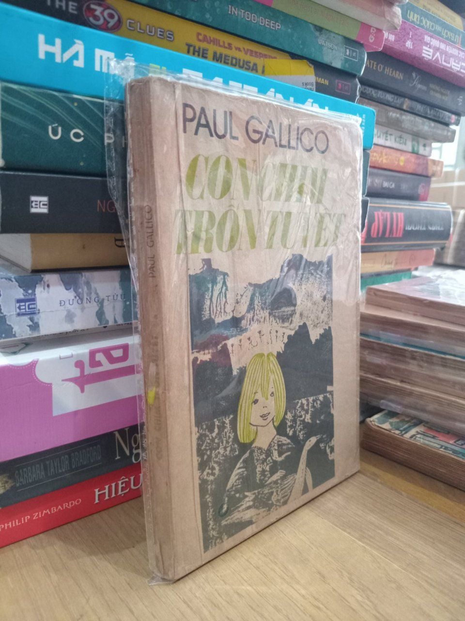  Con Chim Trốn Tuyết - Paul Gallico 