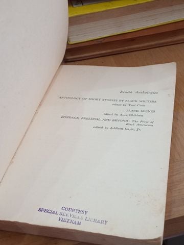  SOULSCRIPT: Afro-American Poetry - June Jordan 