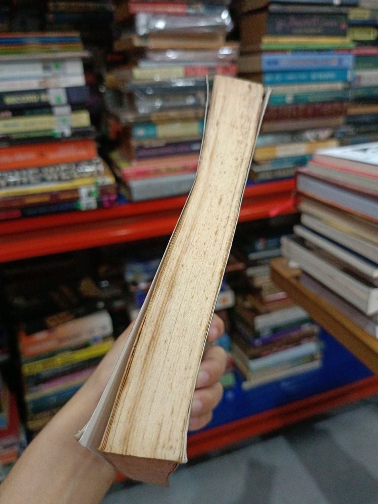  Thời Niên Thiếu của Sherlock Holmes - Shane Peacock (Hoàng Anh Dịch) 