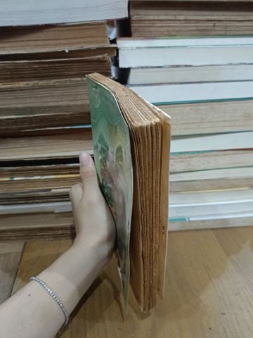  Giàn Thiên Lý Đã Xa - Nguyễn Lê Diễm Nhi 