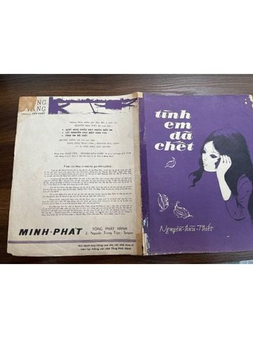  Tình Em Đã Chết - Nguyễn Hữu Thiết 
