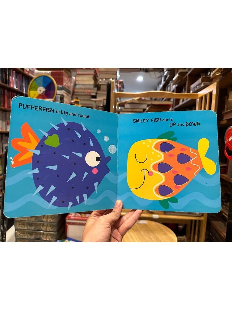  Peep And Find Under The Ocean 