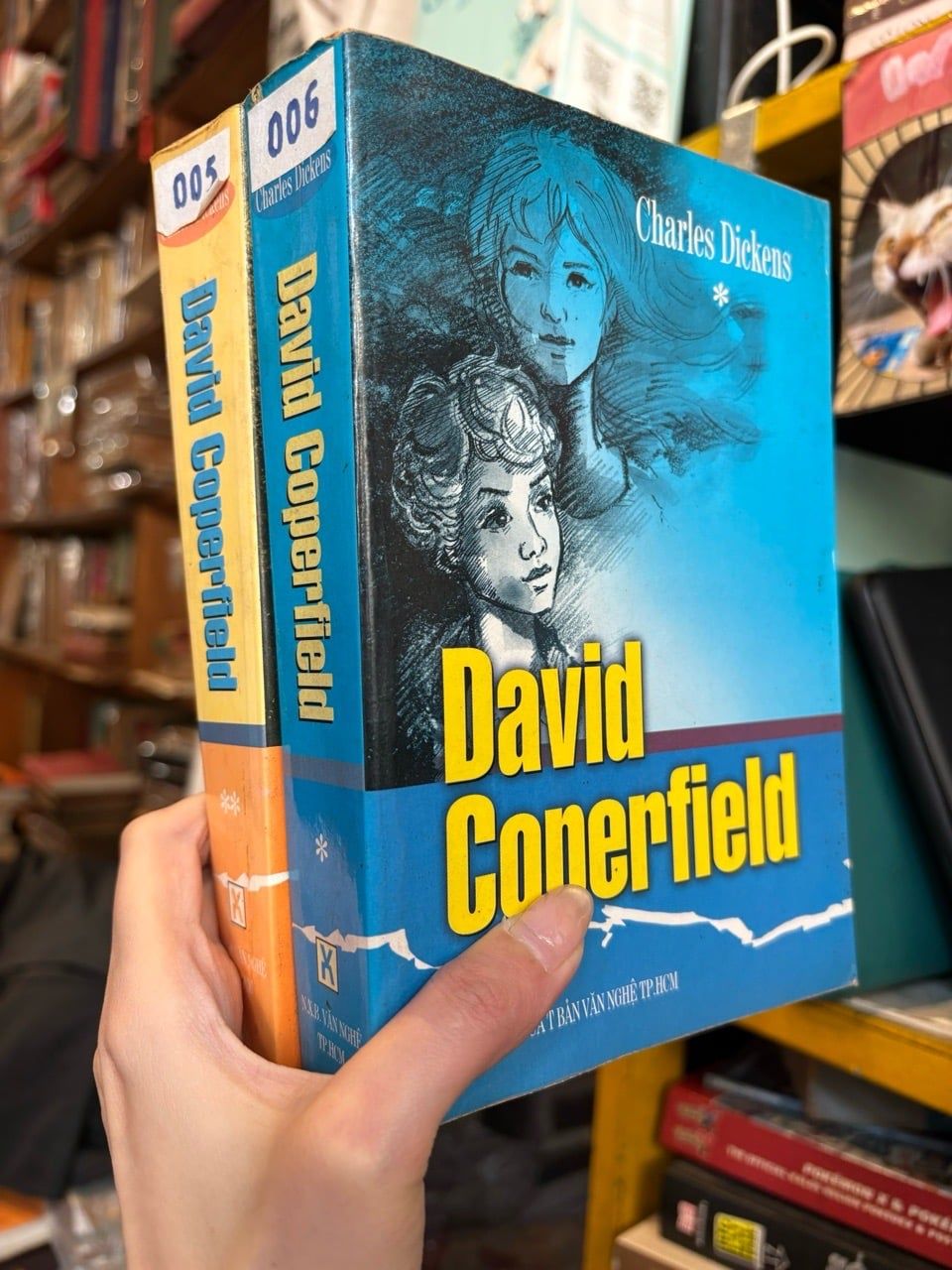  David Coperfield - Charles Dickens - Bộ 2 cuốn 