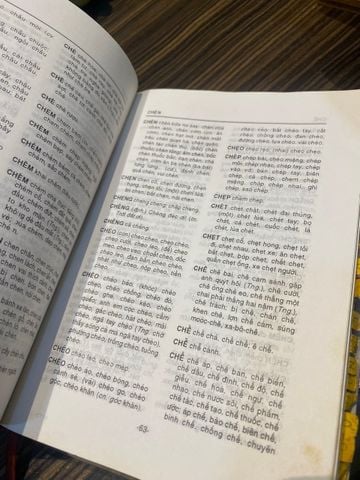  Từ Điển Chính Tả Tiếng Việt - Nguyễn Trọng Báu 