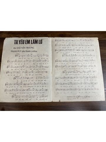  Ta Yêu Em Lầm Lỡ - Đào Văn Trường 