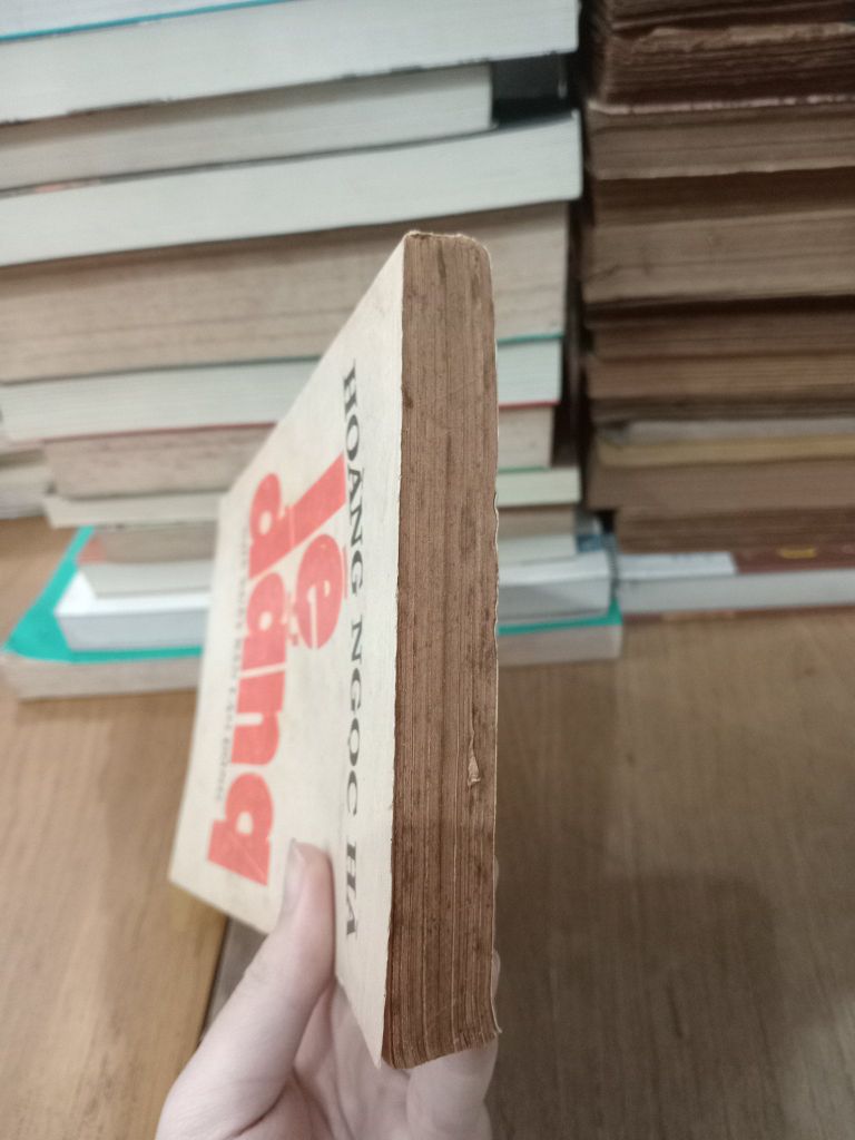  Lệ Đắng - Hoàng Ngọc Hà 