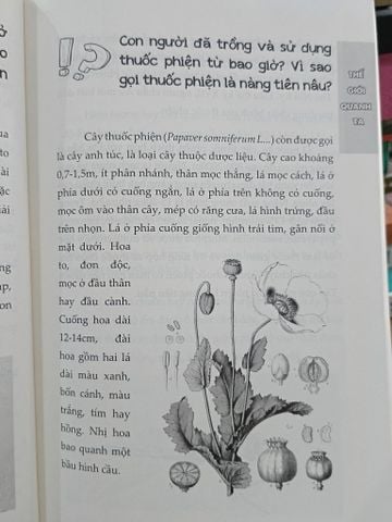  Hỏi đáp về mọi chuyện khoa học xã hội - GS.TS. Nguyễn Lân Dũng 