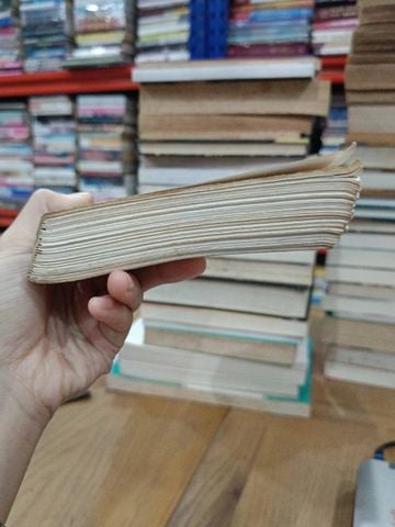  Đừng yêu người lạ - Harold Robbins (Nguyễn Anh Tuấn dịch) 