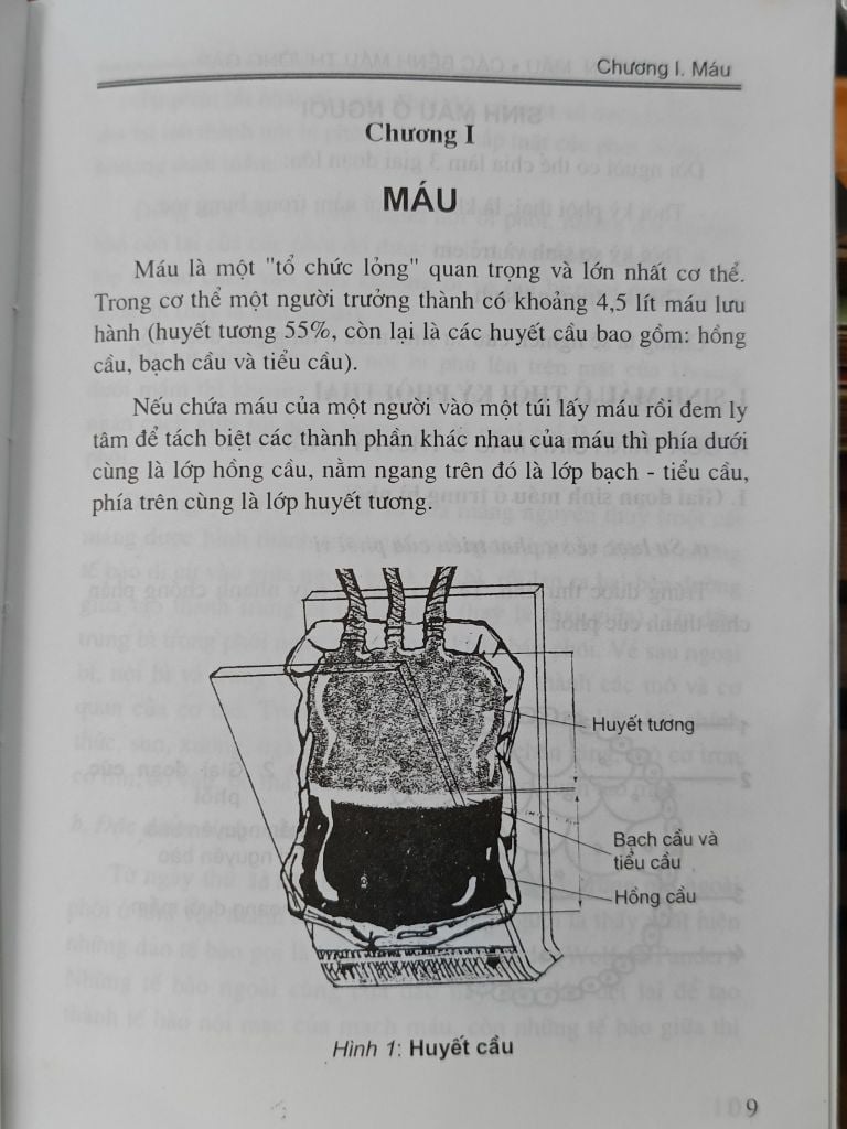  Máu, Truyền Máu, Các Bệnh Máu Thường Gặp - PGS.TS. Thái Quý 