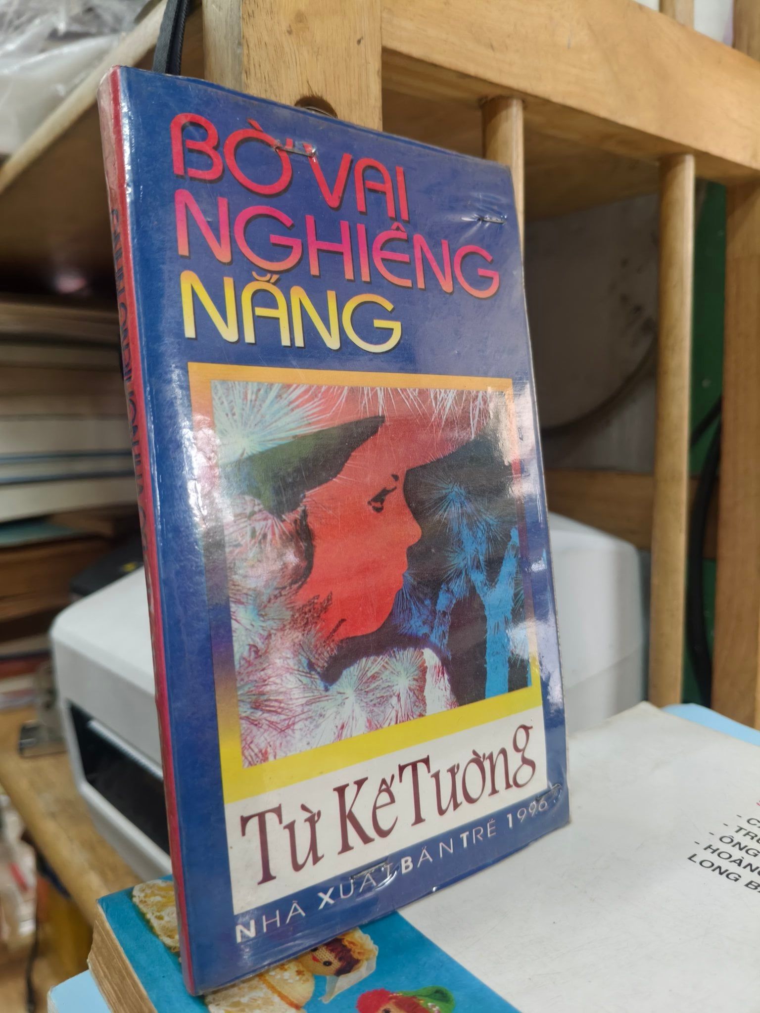  Bờ Vai Nghiêng Nắng - Từ Kế Tường 
