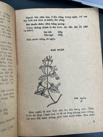  Cây thuốc gia đình - Đỗ Huy Bích 