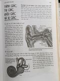  Bách khoa khoa học trẻ - Thục Anh (biên dịch) 