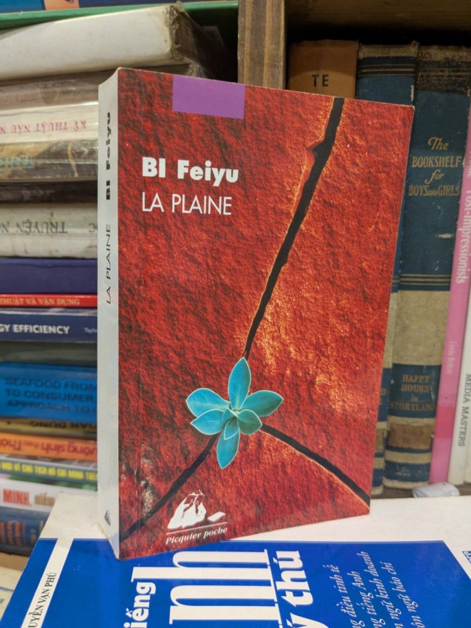  La Plaine - BI Feiyu 