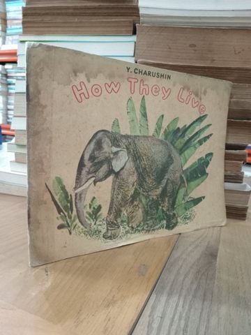  How they live - Y. Charushin 