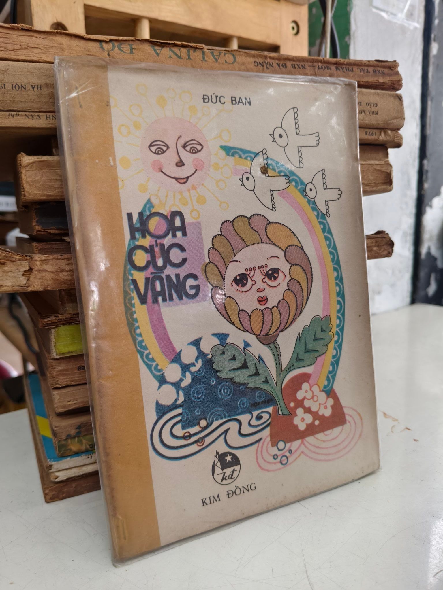  Hoa cúc vàng - Đức Ban 