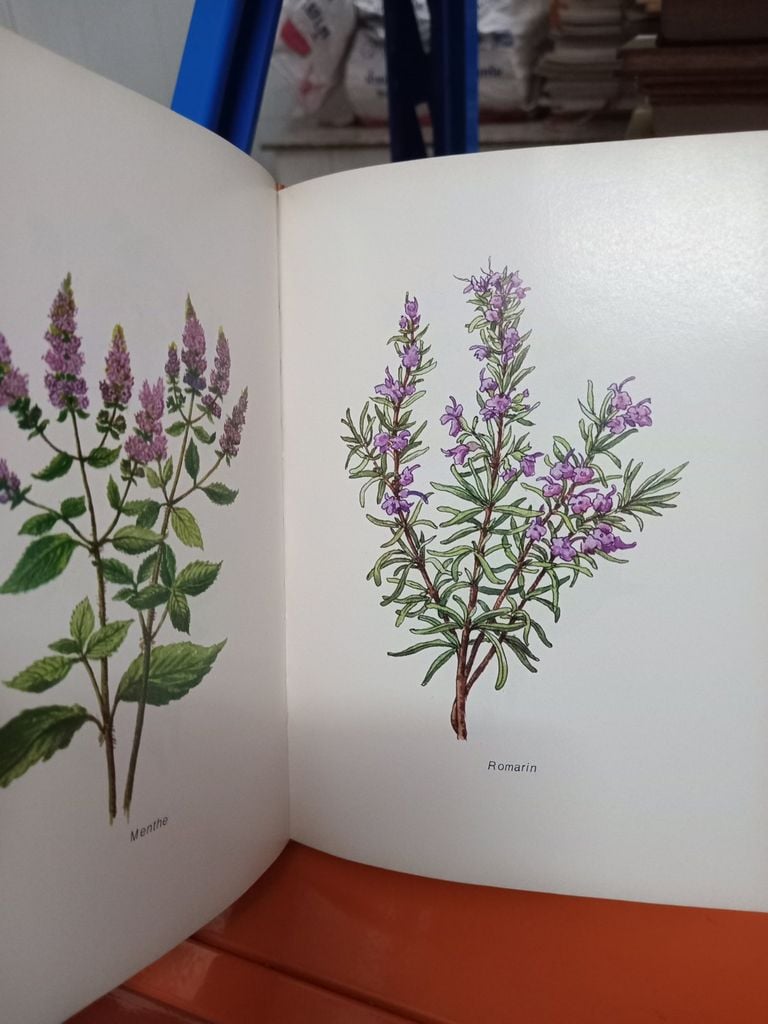  Aromatherapie - Dr. Jean Valnet 