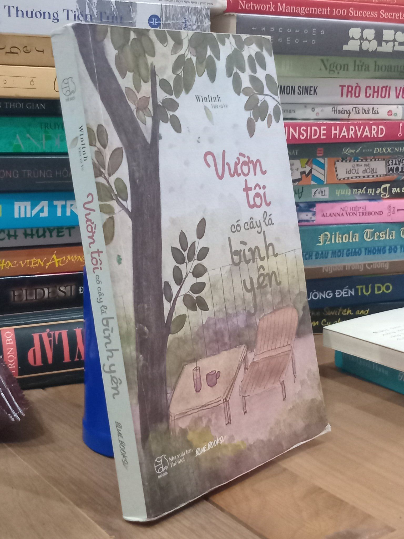  Vườn tôi có cây lá bình yên - Winlinh viết và vẽ 