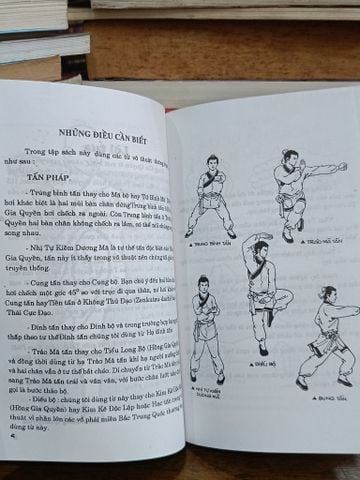 Tiểu La Hán Thảo (Hồng Gia Quyền) - Trần Đồng Quang Hòa
